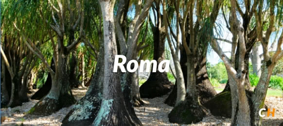 Roma