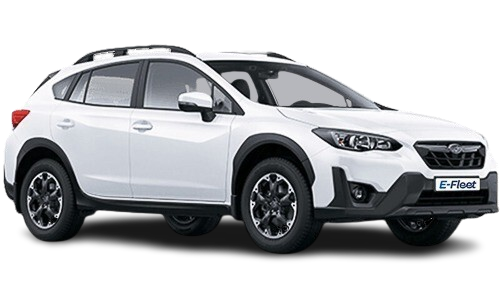 Intermediate Elite SUV
